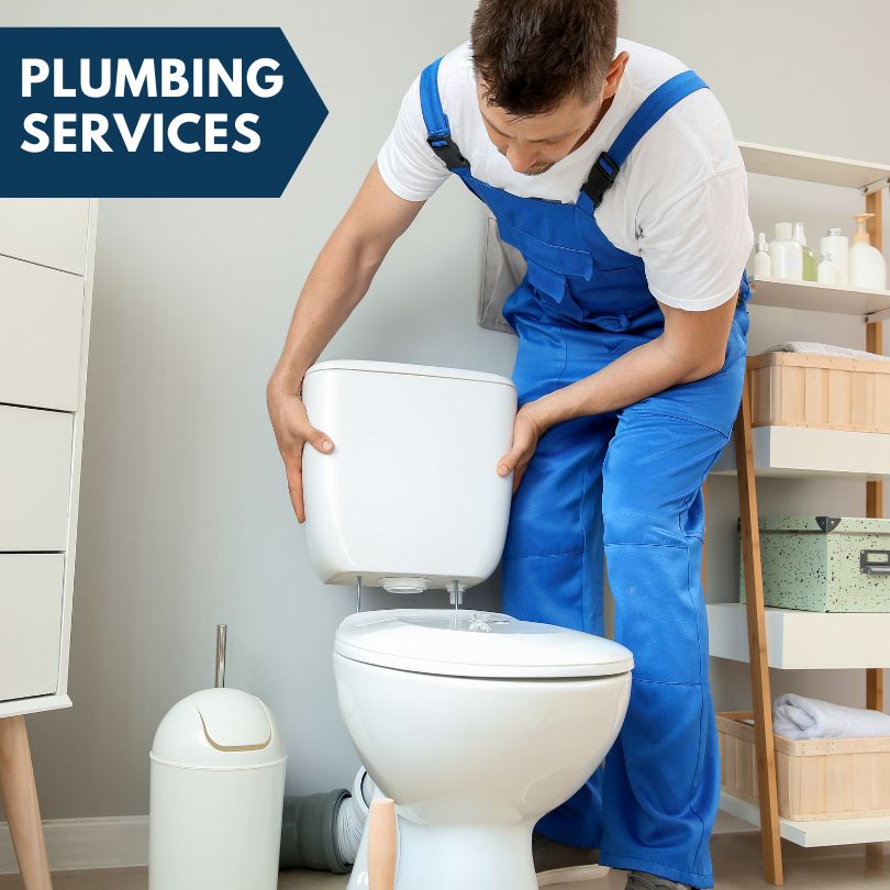 Plumbing Company in Reads Landing, MN